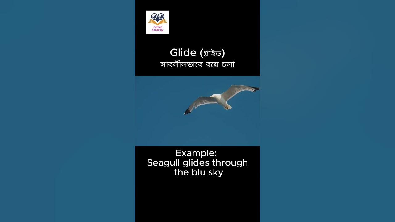 word-meaning-in-bengali-with-sentence-making-vocabulary