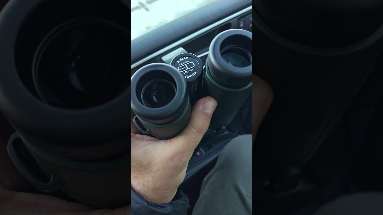 бинокль shuntu panorama ed