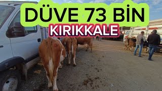 KIRIKKALE HAYVAN PAZARI 10 ARALIK 2023 GÜNCEL FİYATLAR