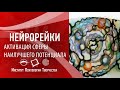 Как открыть себя. Раскрой свой потенциал. НейроРейки с Ириной Рекшинской. Открытые встречи