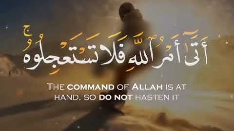 حالات واتس اب قران كريم (اتى امر الله فلا تستعجلوه) خالد الجليل