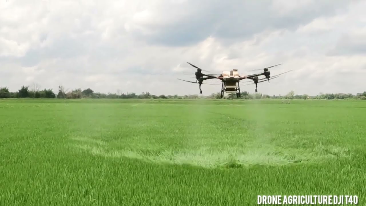 Modern agriculture cannot do without drones.