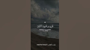 القارئ| عبد الرحمن مسعد| أرح سمعك وقلبك| #عبدالرحمن_مسعد