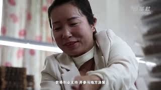 多国专家:中国妇女事业发展成就显著
