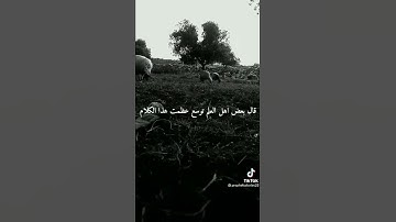 فضل قراءة آخر آيتين من سورة البقرة - الشيخ/عادل المقبل