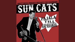 Video thumbnail of "Sun Cats - The Worrying Kind"