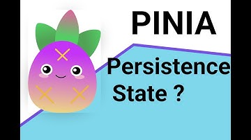 Vue 3 with Pinia Persistence State