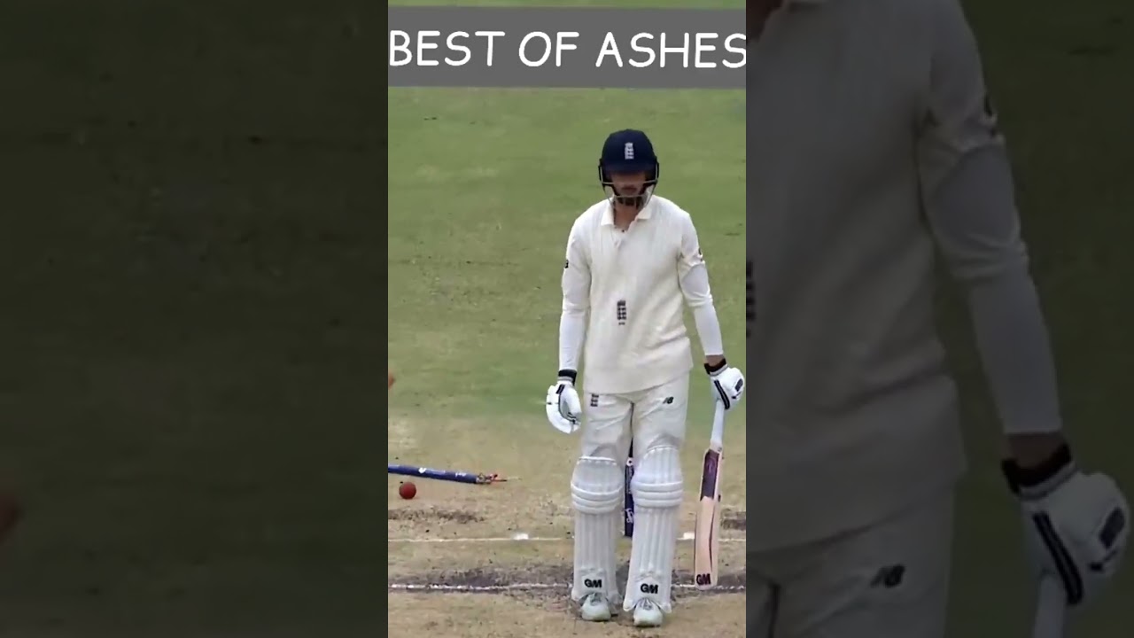 Best of ASHES 