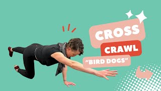 Cross Crawl | Core Activation | Pregnancy-Safe
