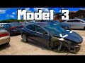 Hunting For A TESLA At COPART Salvage AUTO AUCTION | Potential Project | Walk Around RICH REBUILDS