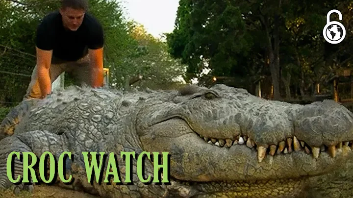 Croc Watch With Steve Backshall Season 1 Episodes 1 & 2