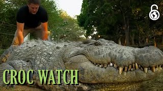 Croc Watch With Steve Backshall Season 1 Episodes 1 & 2