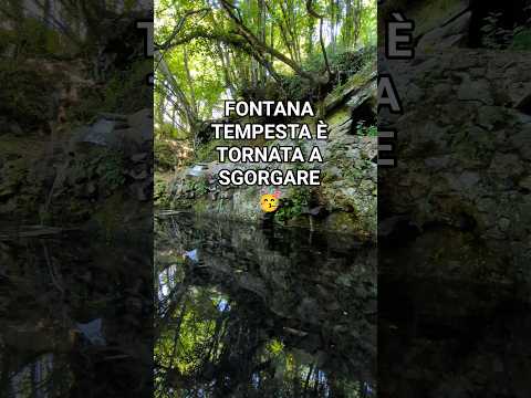 Video Fontana Tempesta è tornata a sgorgare