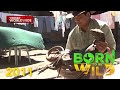 Ang hindi malilimutang wild adventures ni Doc Nielsen kasama ang ‘Born To Be Wild’ | Born to be Wild