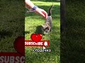 Как выжить при пожаре в доме? 🔥 #выживание #shorts