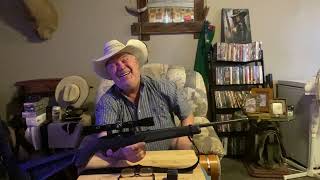 Ruger 10/22 with its original boat paddle stock 
