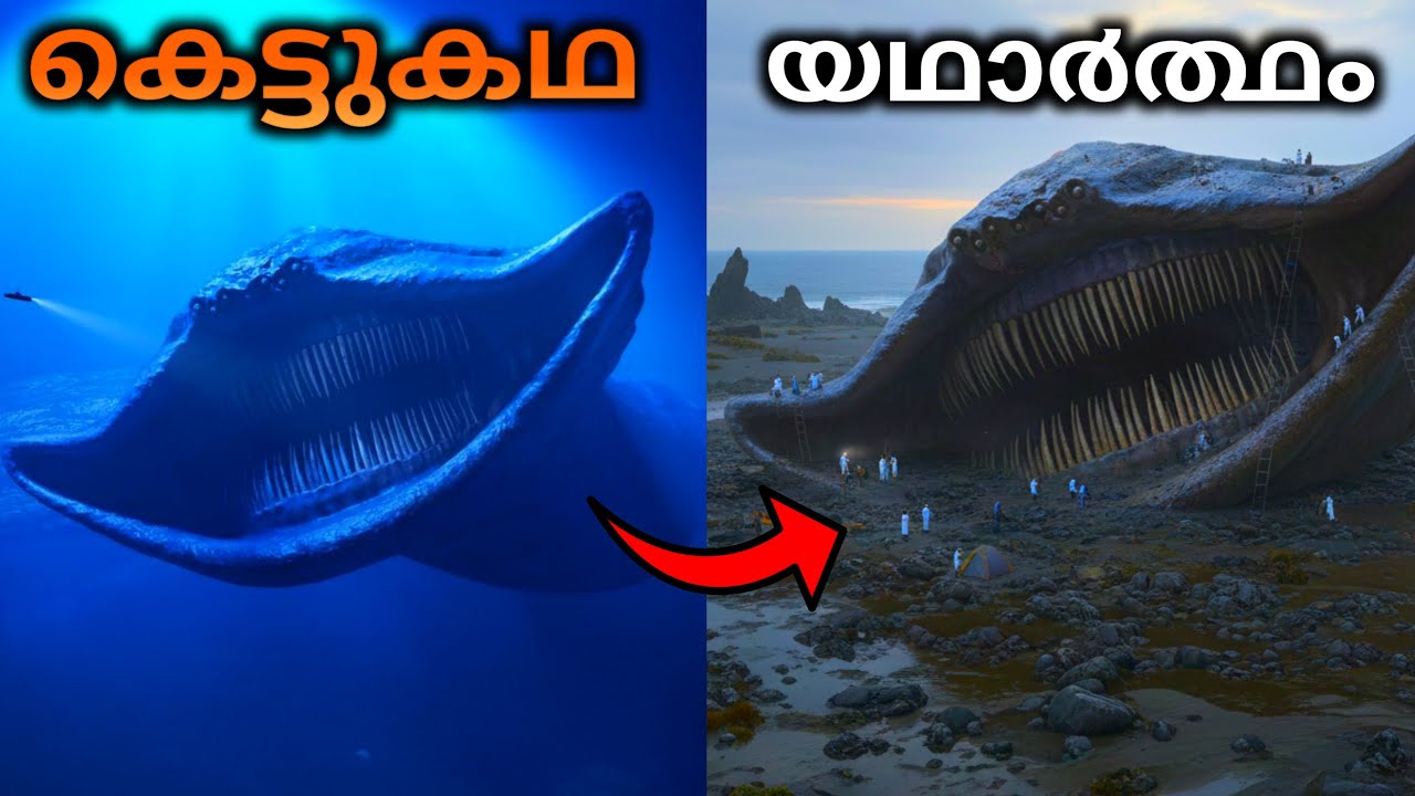യഥാർത്ഥത്തിൽ നിലനിന്നിരുന്ന 7 പുരാണ കടൽ ജീവികൾ