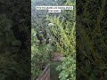 what my garden says behind my back