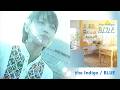 the Indigo - "BLUE"
