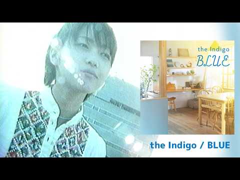 the Indigo - 