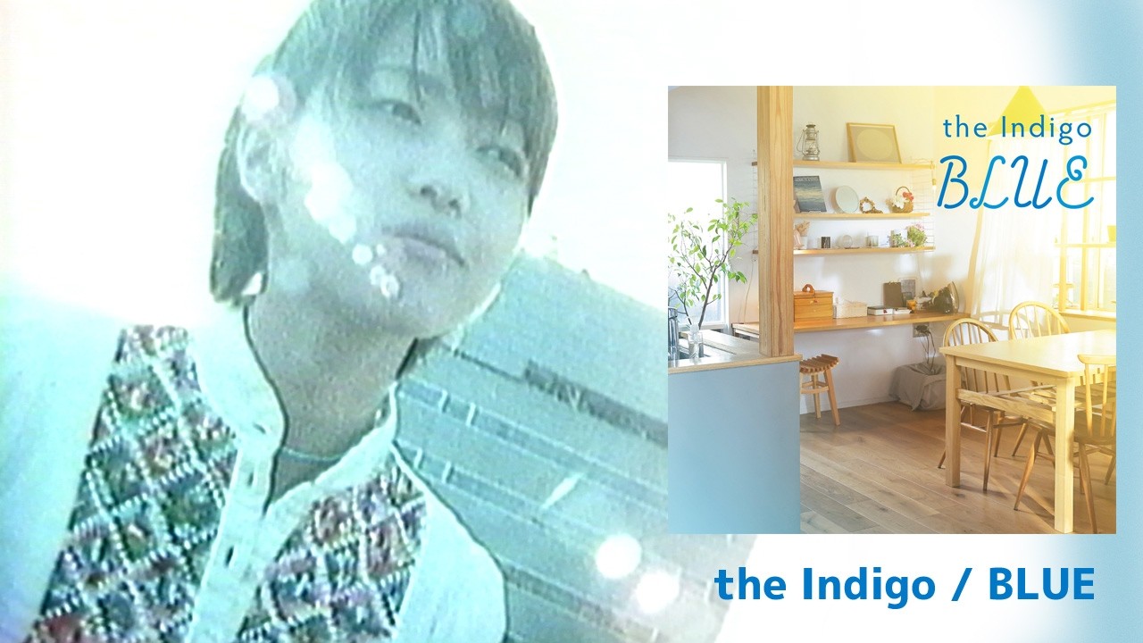 the Indigo - 