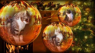 Relaxing Christmas Fireplace with Cats in Christmas Tree Baubles and Relaxing Music by ComicCat 64 views 1 year ago 10 minutes, 6 seconds