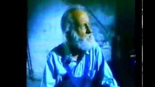 Famous tail of a tiger 1986 Wealth