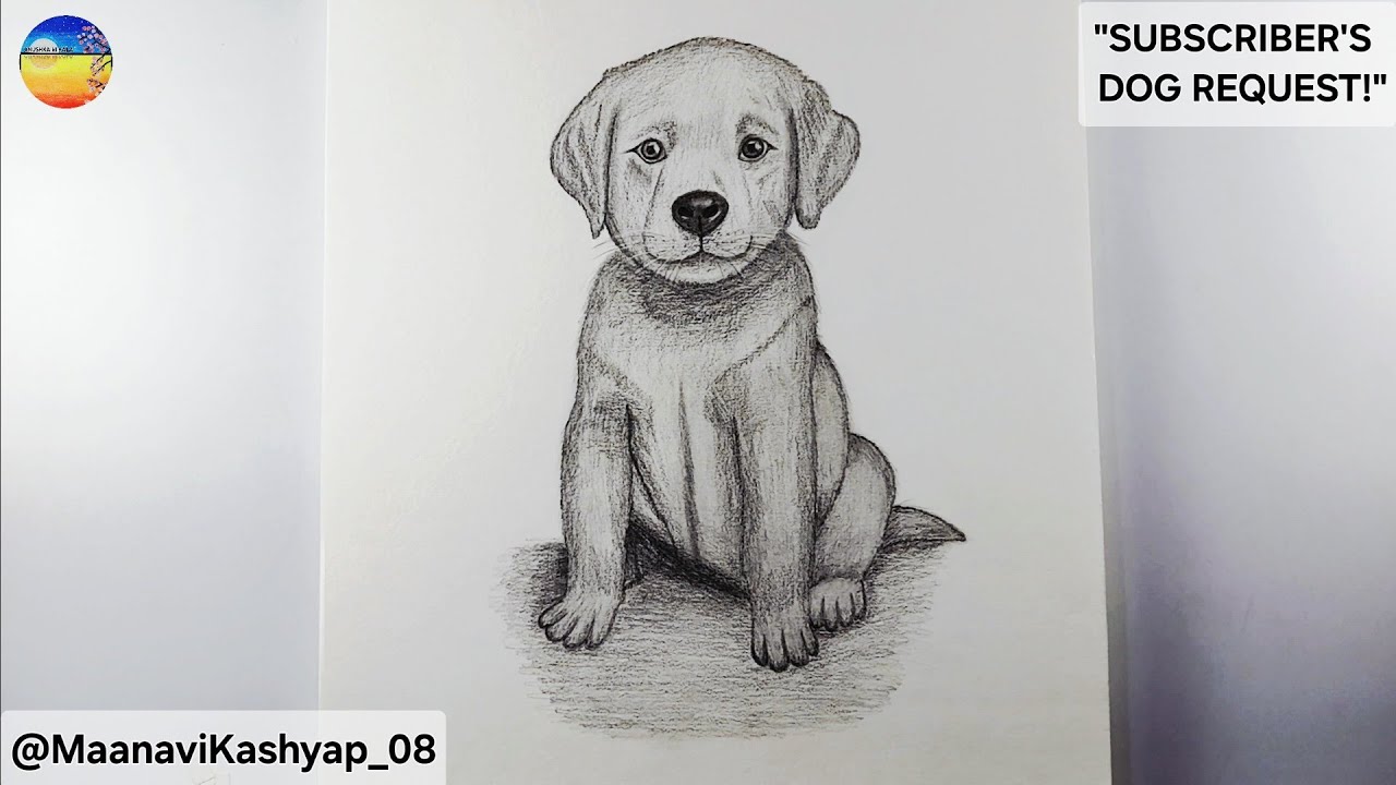 How to Draw a Dog || Realistic Dog Sketch (Drawing Tutorial)