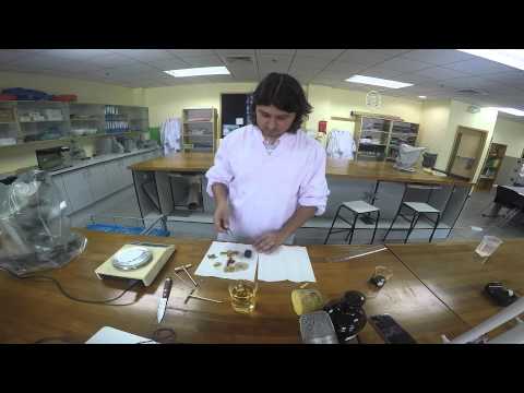 1.1---cell-surface-area-to-volume-ratio