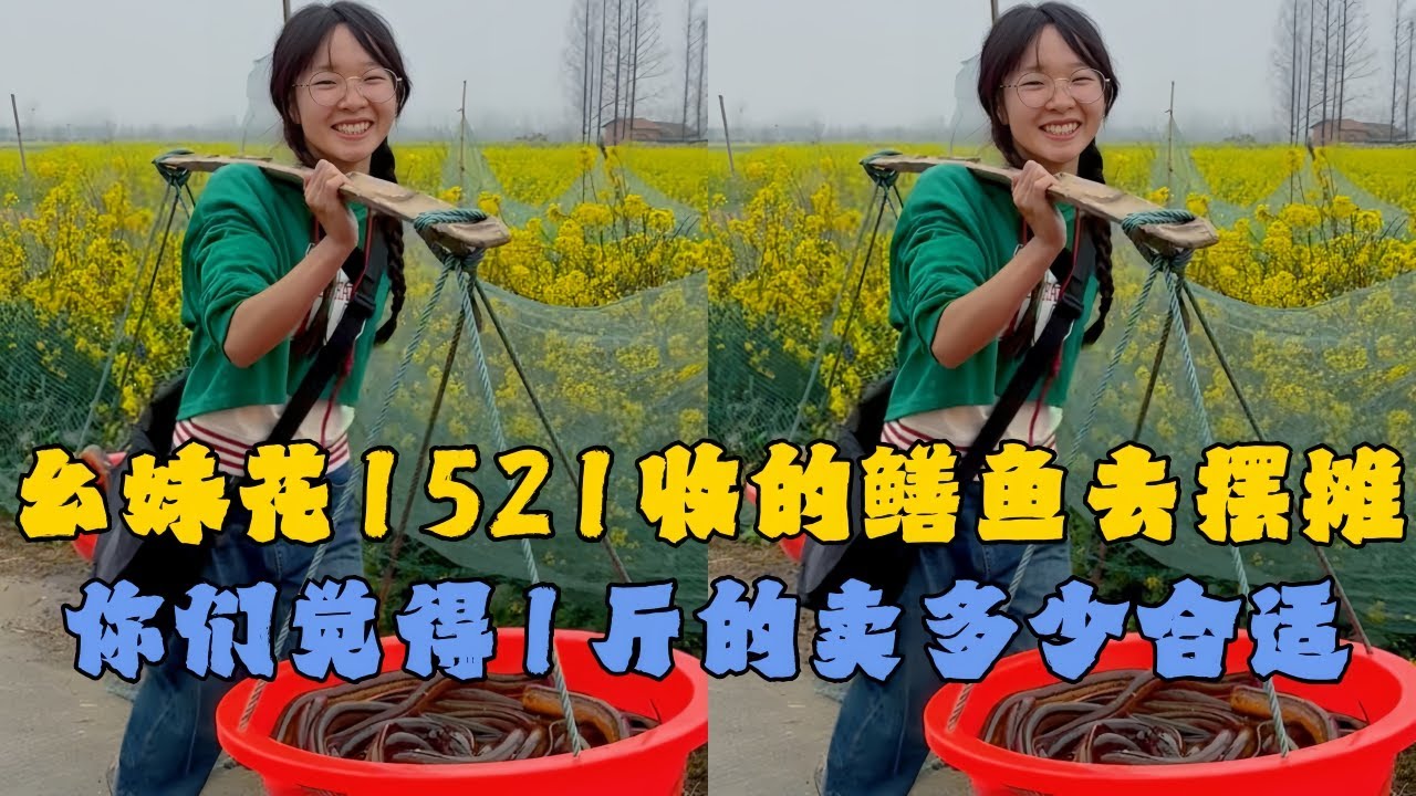 幺妹花1521元收的鳝鱼去摆摊，你们觉得1斤以上的卖多少合适？#户外抓鱼 #户外捕鱼 #幺妹vlog #乡村生活 #农村生活