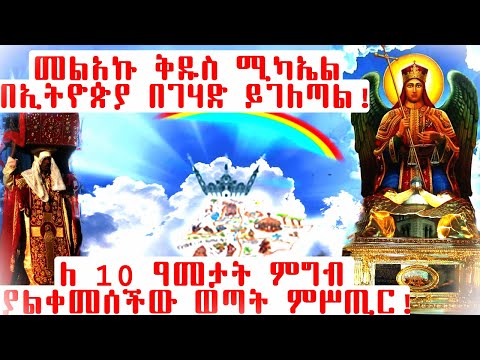 ቪዲዮ: ዝናባማ በሆኑ ቀናት ለቤትዎ ውሻ በቤትዎ መዝናናት