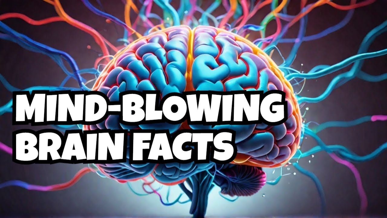 Mind Blowing Facts About the Human Brain Revealed - YouTube
