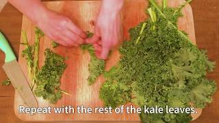 Try Things: Kale Chips
