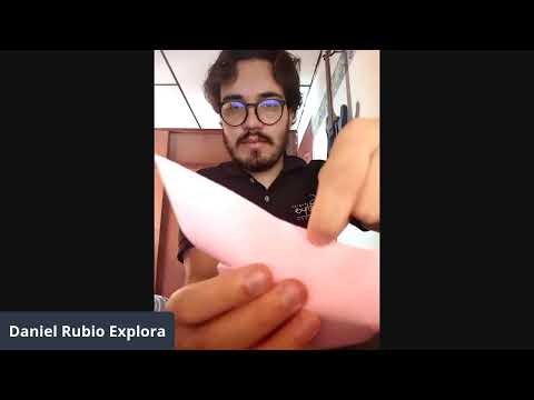Disfruta del Taller virtual de origami del programa #SomosGrupoEPM