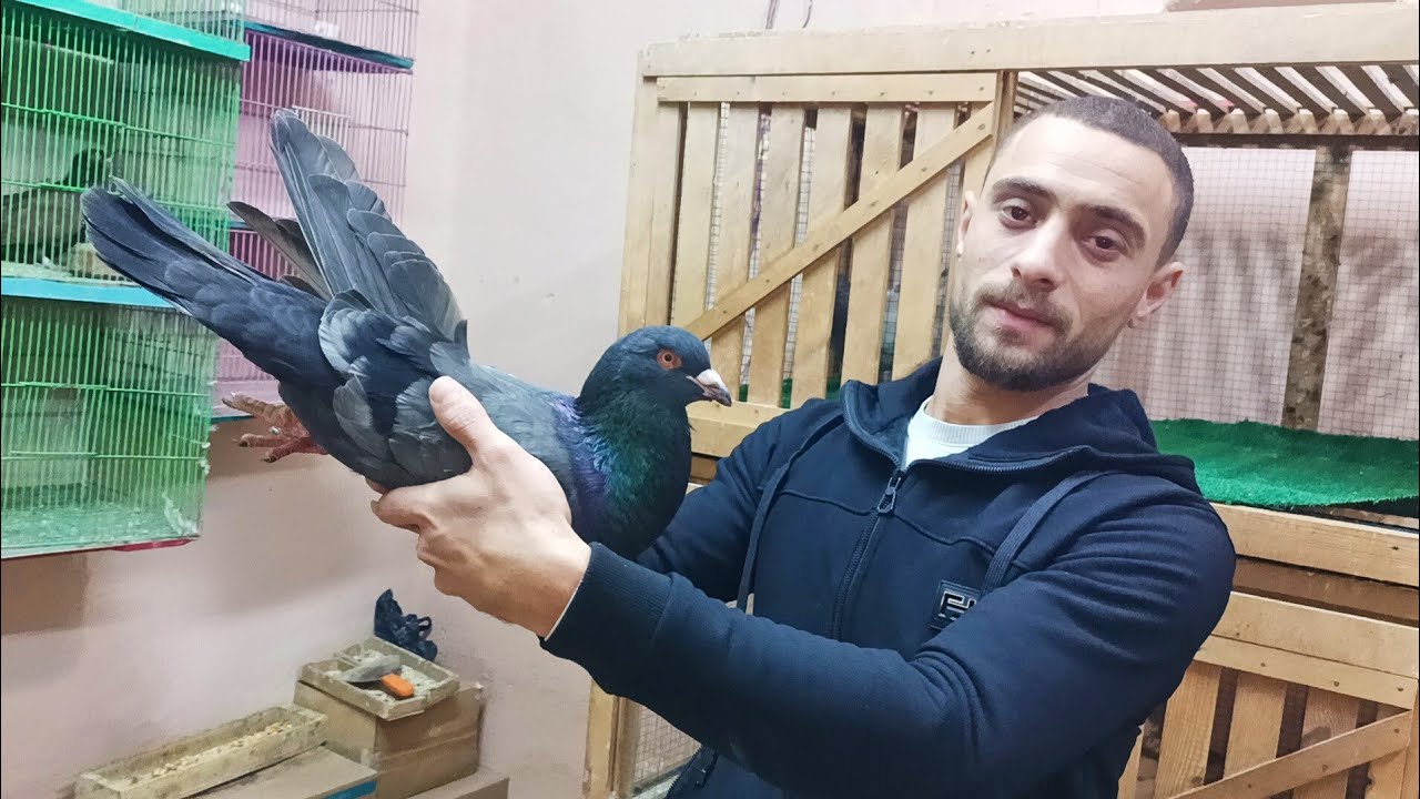 موجود مجموعه 😱 حمام كينج وروماني🔥 عند اخويا كريم 01206533553#العناني