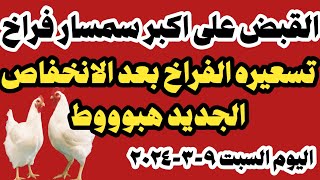 اسعار الفراخ البيضاء سعر الفراخ البيضاء اليوم السبت ٩-٨-٢٠٢٤ جملة وقطاعي في مصر