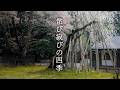 Four Seasons of Kyoto Wabi-Sabi Gardens 京都の四季と侘び寂び庭園