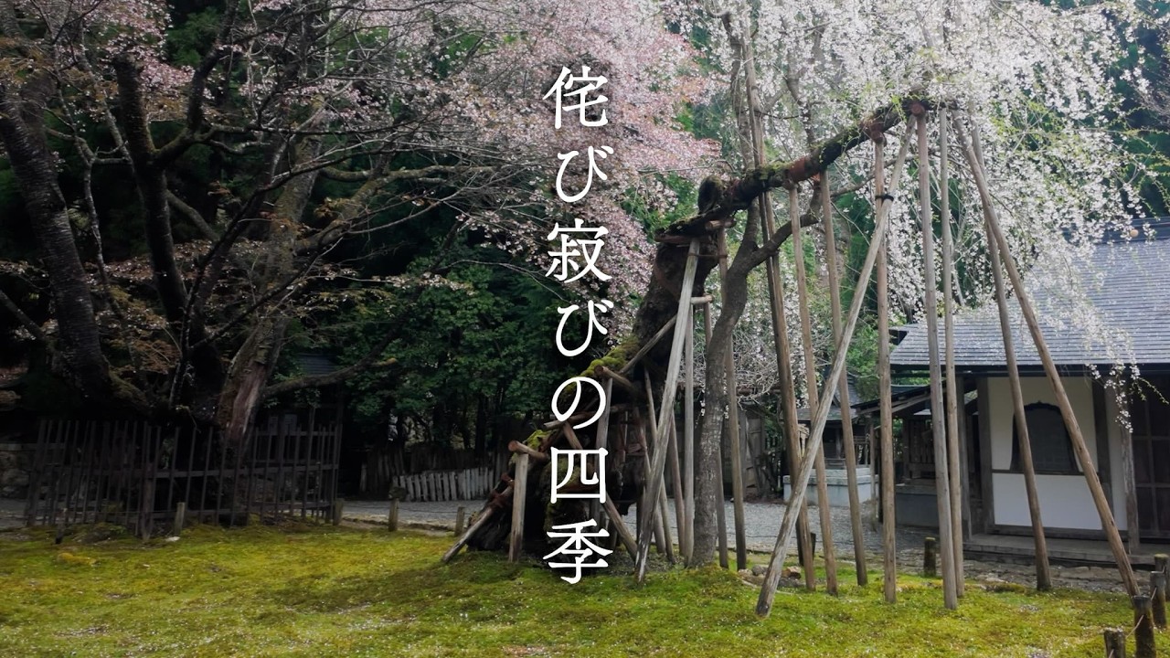 Four Seasons of Kyoto Wabi-Sabi Gardens 京都の四季と侘び寂び庭園