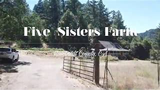 Five Sisters Farm