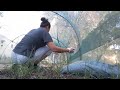 We planting eggplant chilli and tomatoes in the small garden