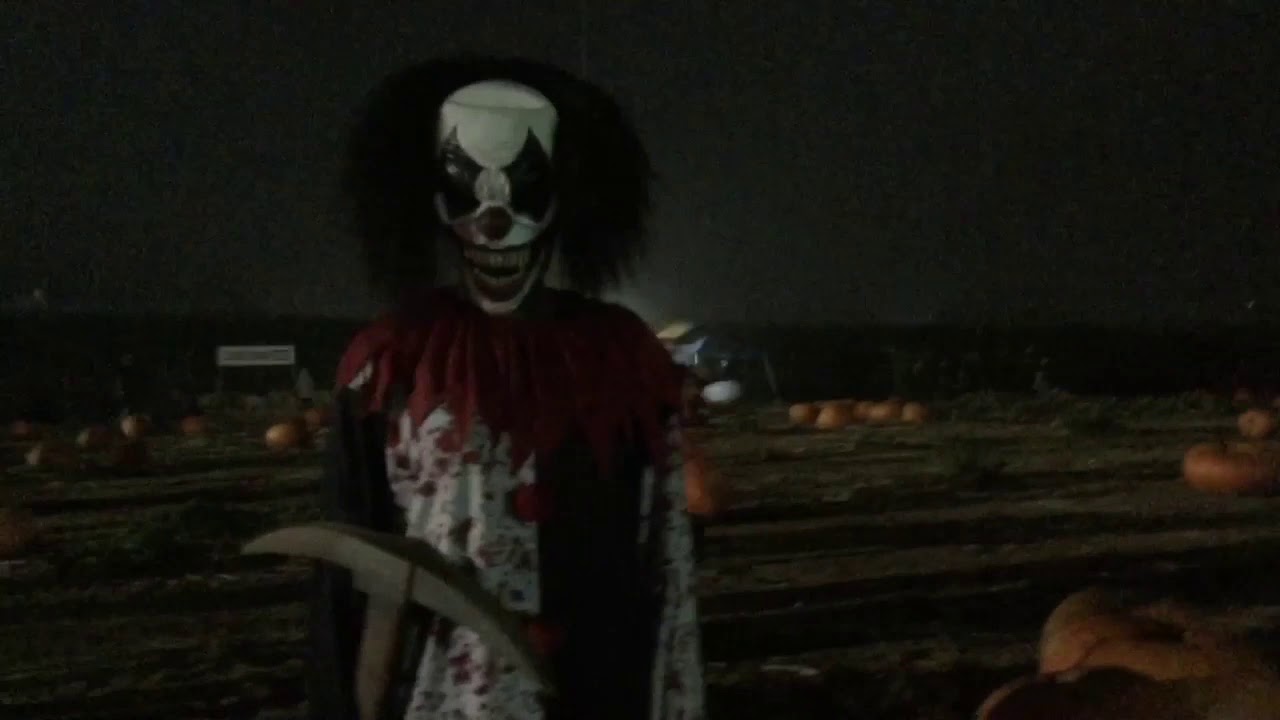 Visiting the Carlsbad Haunted Corn Maze YouTube
