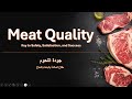 V3 Meat Quality Key To Safety Satisfaction And Success جودة اللحوم مفتاح السلامة والرضا والنجاح 