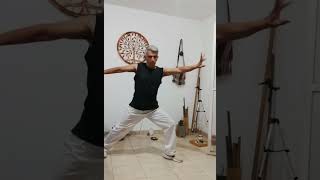Qi Gong ! yi Jin Jing quinto movimiento