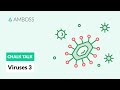 Viral Entry and Replication Mechanisms Unveiled