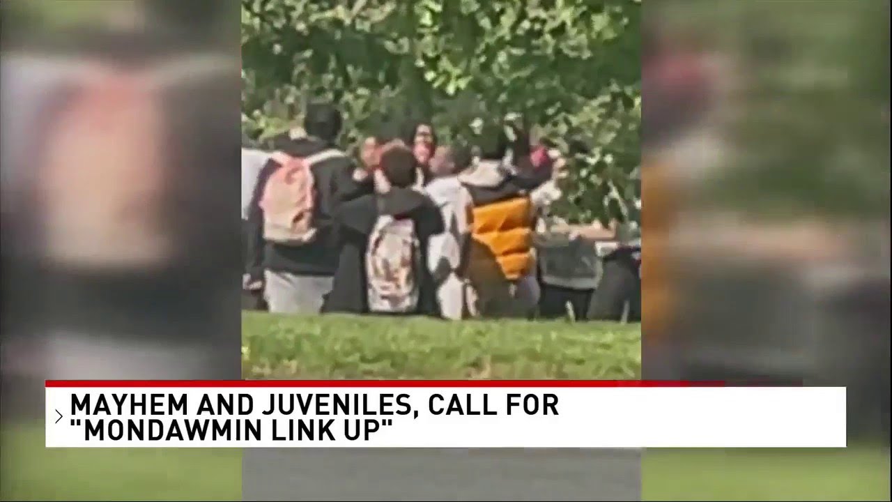 MAYHEM AT MONDAWMIN MALL - Fights break out as social media post calls for 'Link Up'