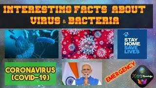 INTERESTING FACTS ABOUT VIRUS & BACTERIA | CORONAVIRUS (COVID-19) | वायरस और बैक्टीरिया