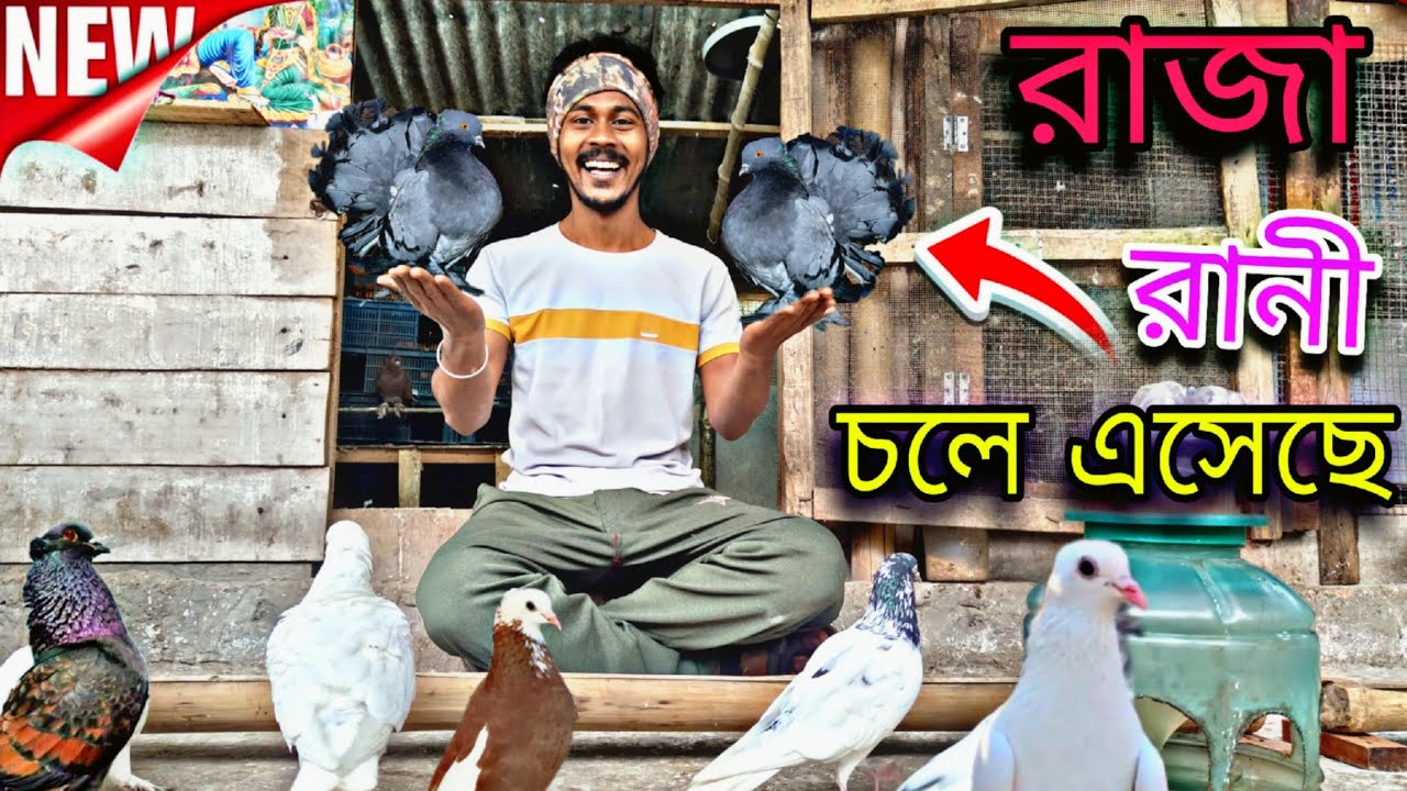 সকাল সকাল বাড়িতে রাজা রানী চলে এসেছে 🔥#myworld #petsvlog 