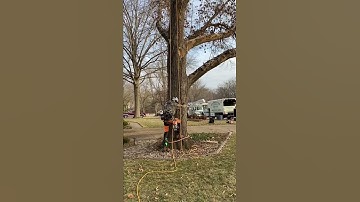 SRT CLIMBING #professional #climber #professional #treework #staysafe #arborist