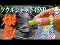 ソウルシャッド45SPで爆釣！！！！恩方バスフィッシングポンドでブラックバス釣り