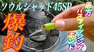ソウルシャッド45SPで爆釣！！！！恩方バスフィッシングポンドでブラックバス釣り